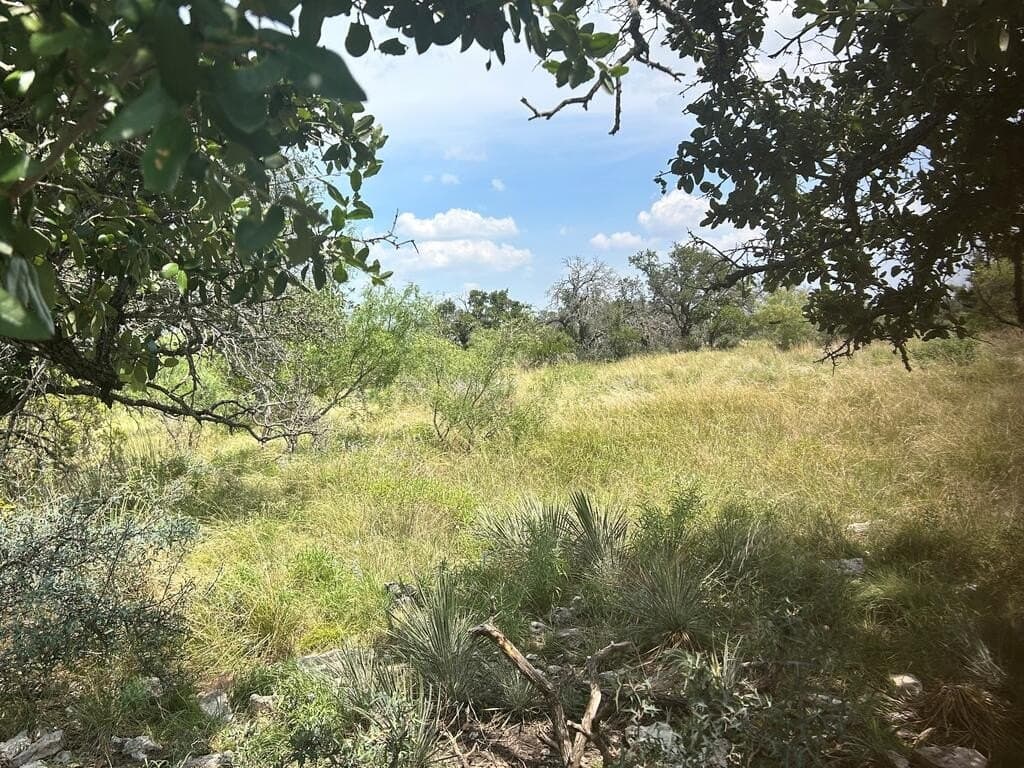 123 acres in Menard County - photo 32