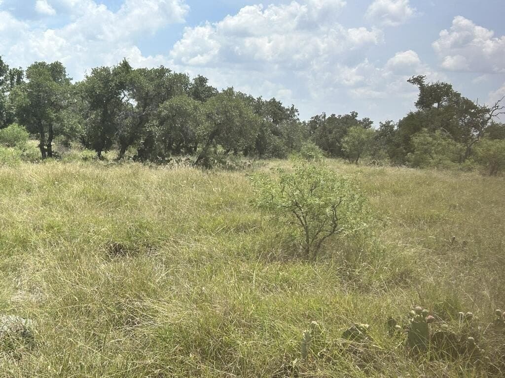 123 acres in Menard County - photo 4