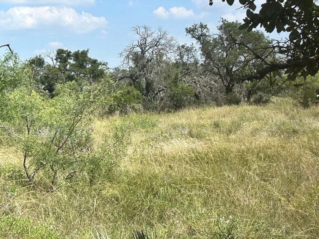 123 acres in Menard County - photo 33