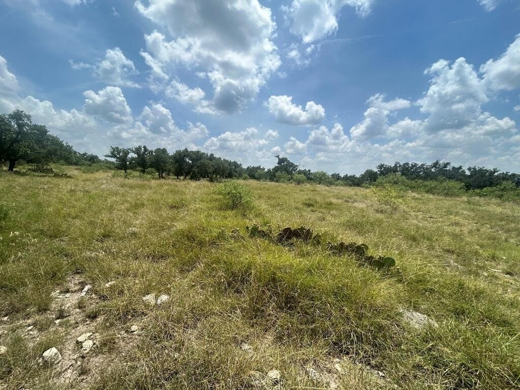 123 acres in Menard County - photo 17