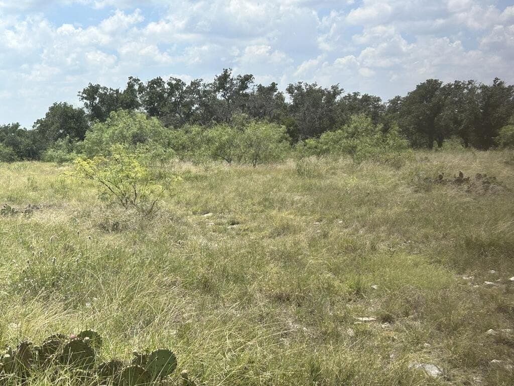 123 acres in Menard County - photo 5