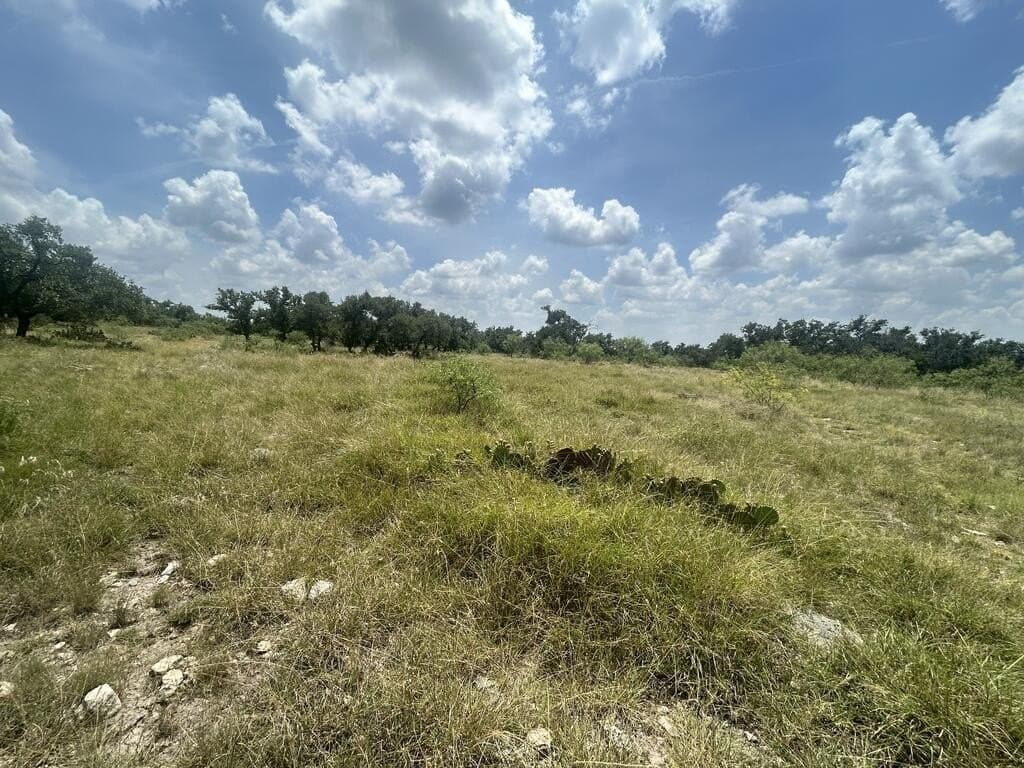 123 acres in Menard County - photo 3