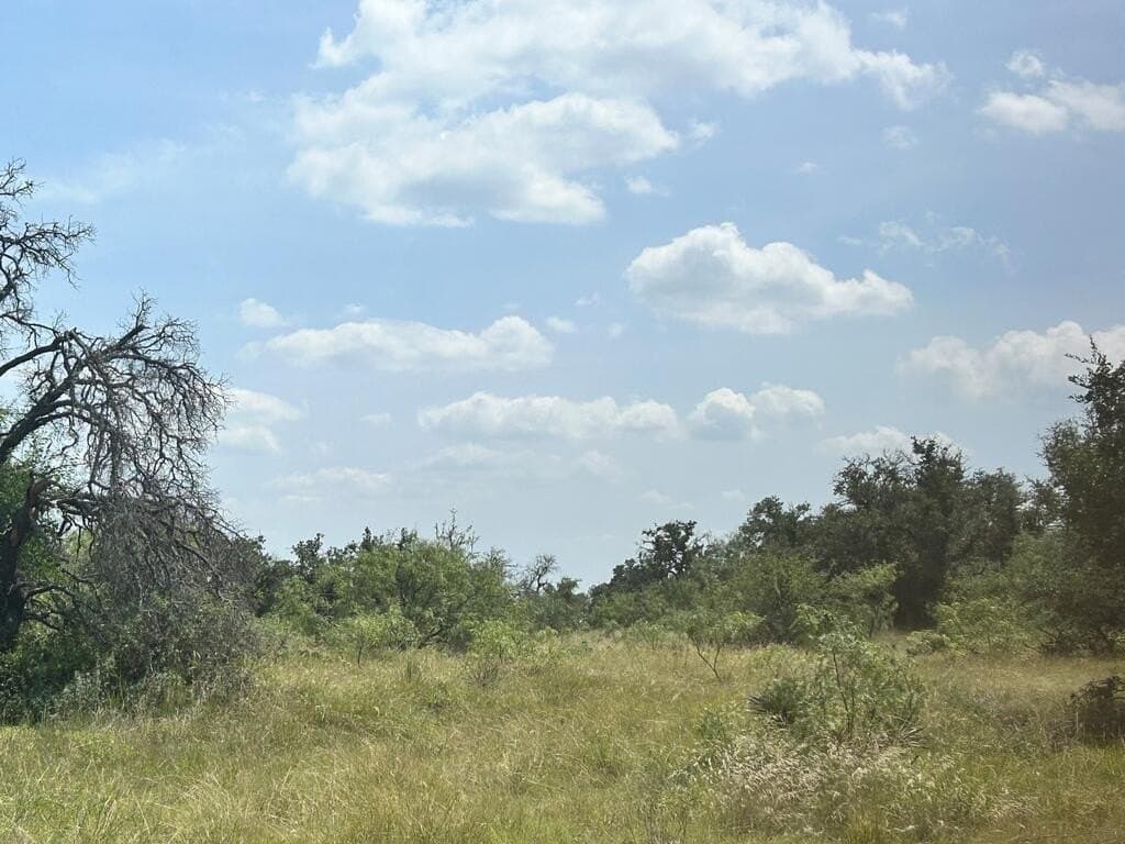 123 acres in Menard County - photo 29