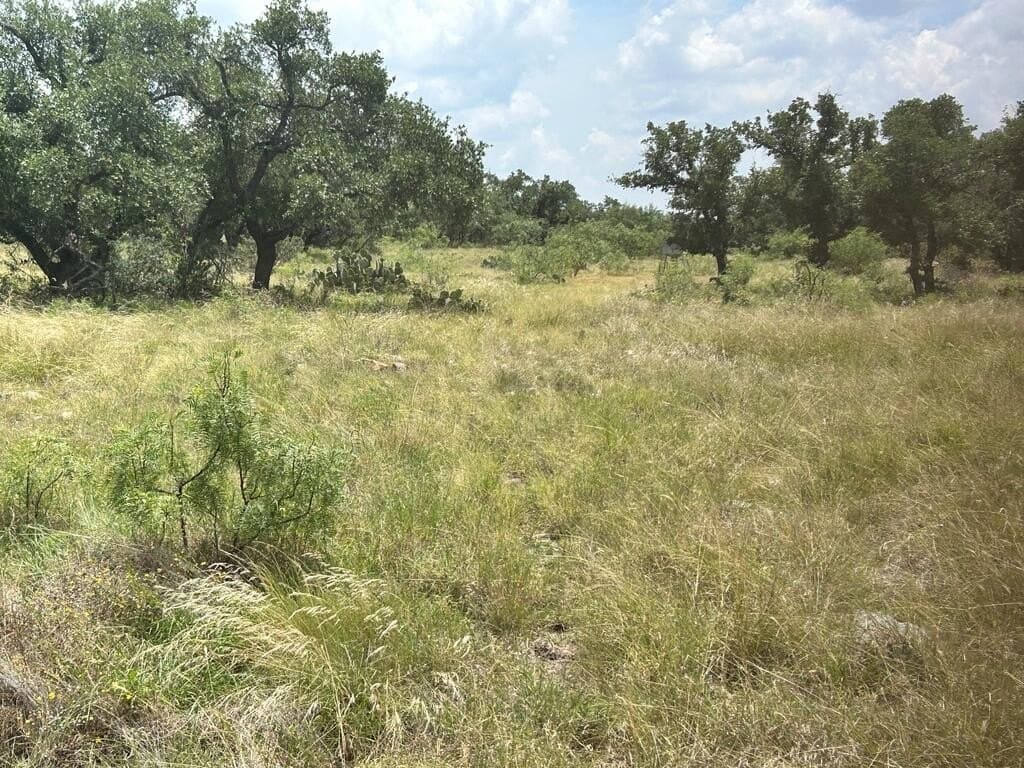 123 acres in Menard County - photo 19