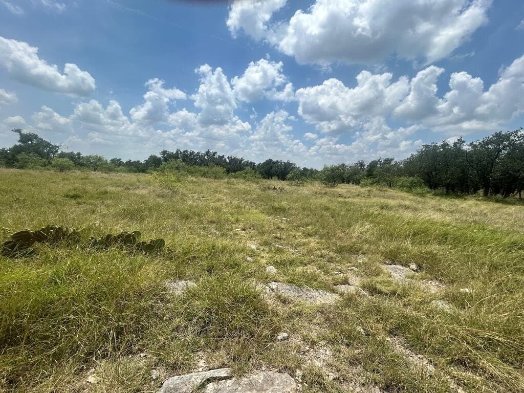 123 acres in Menard County - photo 18