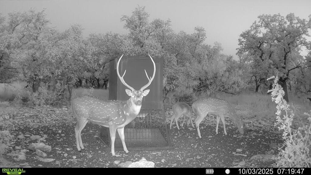 123 acres in Menard County