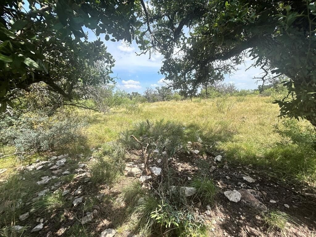 123 acres in Menard County - photo 31