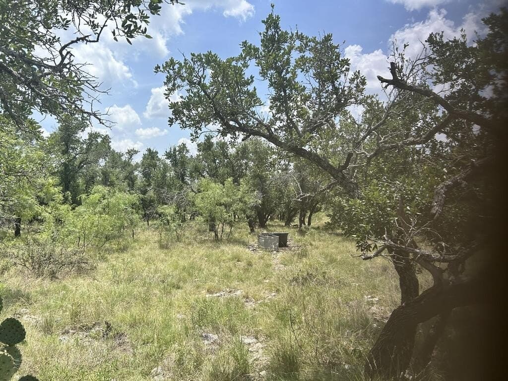 123 acres in Menard County - photo 6