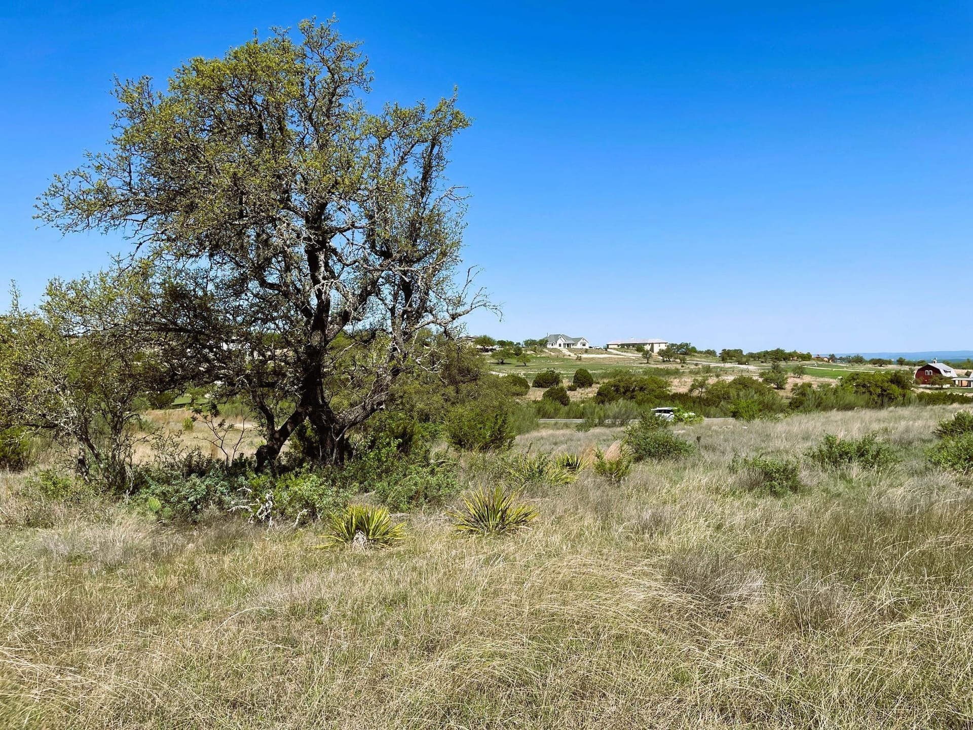 3 acres in Blanco County - photo 8