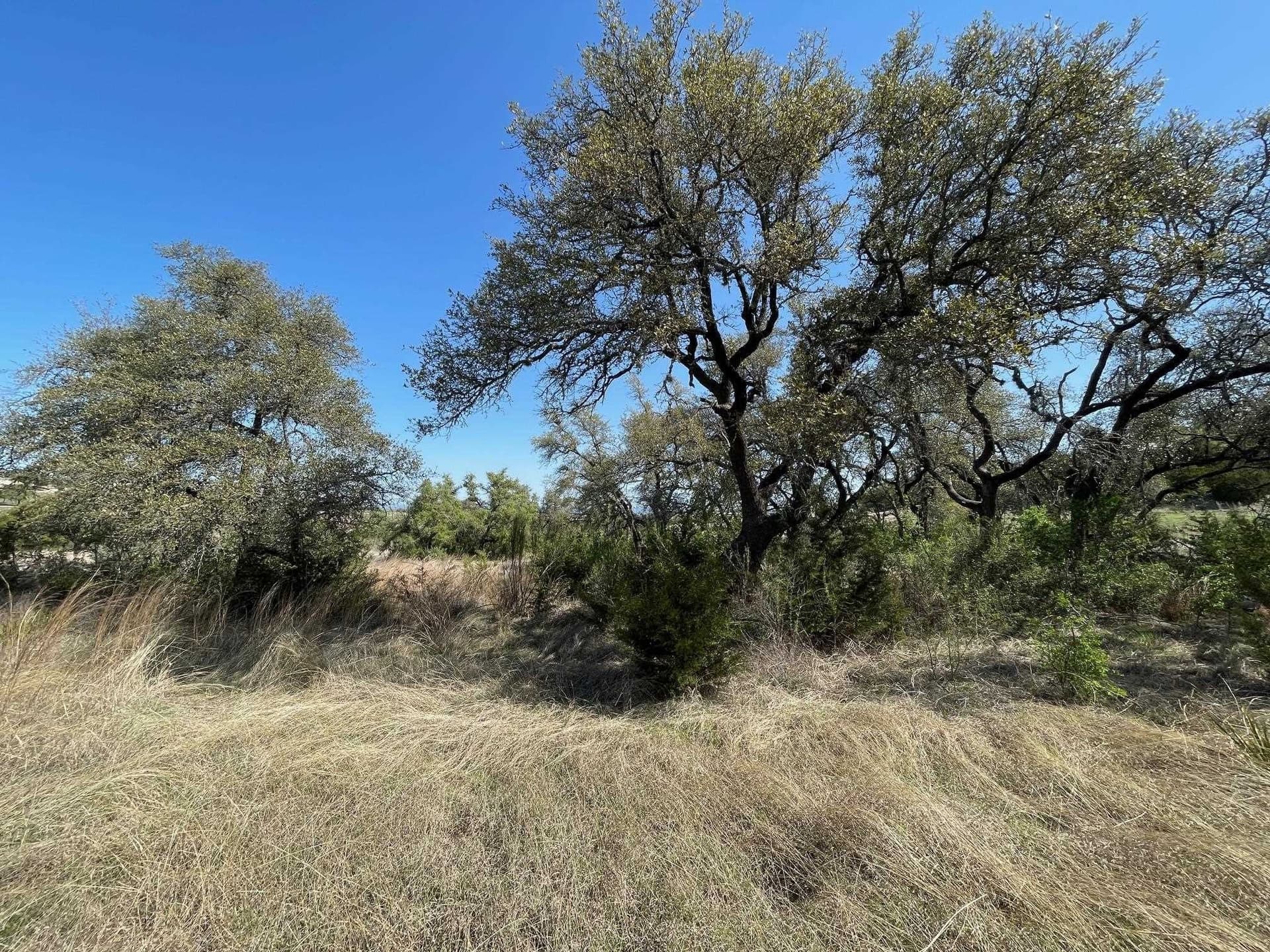 3 acres in Blanco County - photo 6