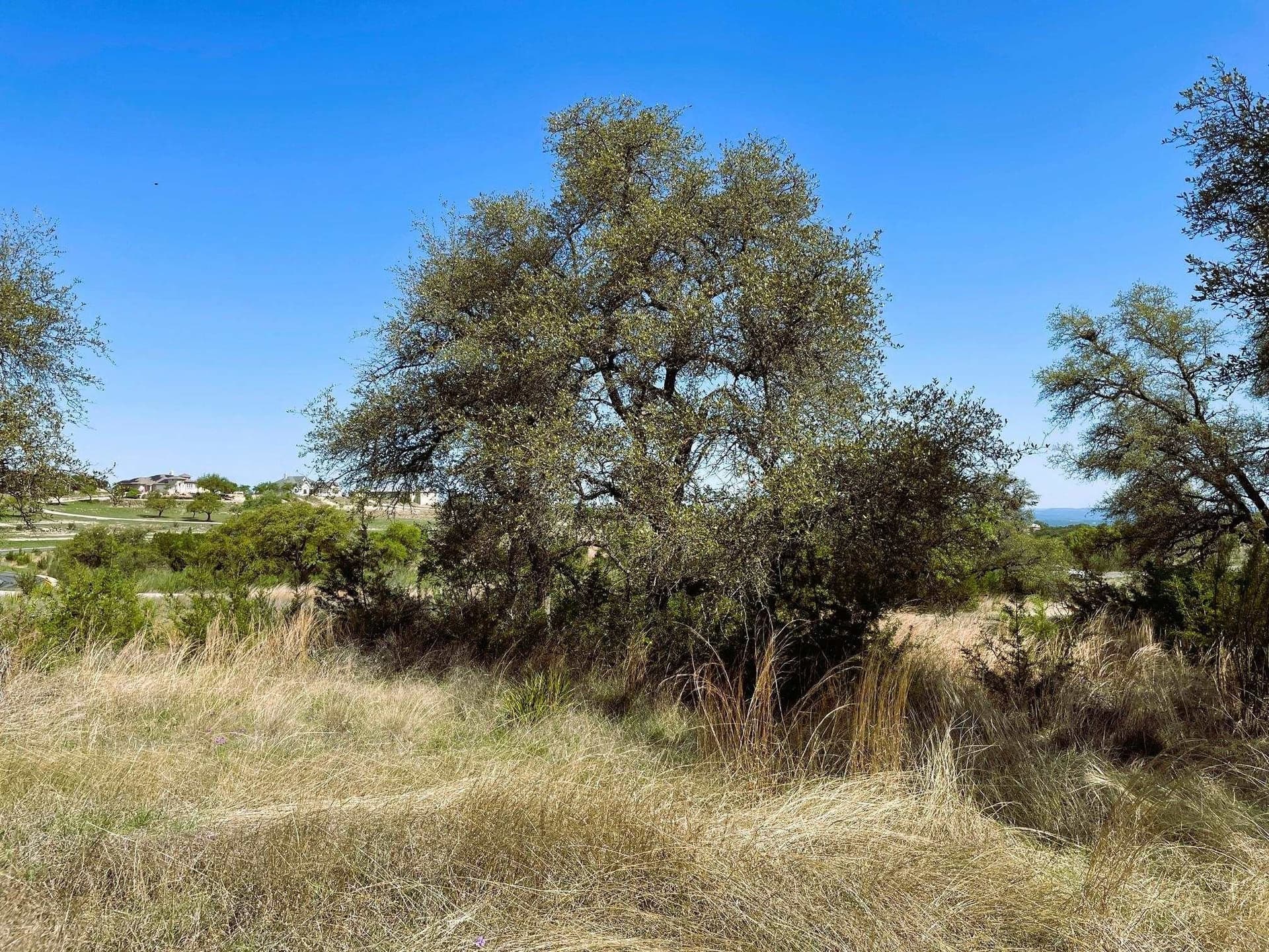 3 acres in Blanco County - photo 7