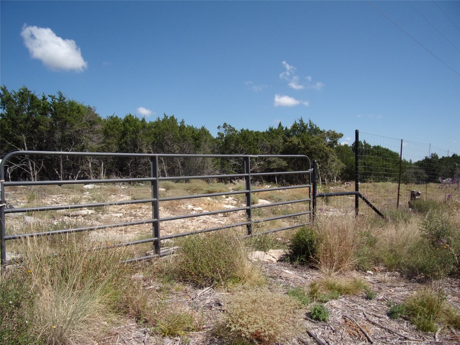 5 acres in San Saba County - photo 4