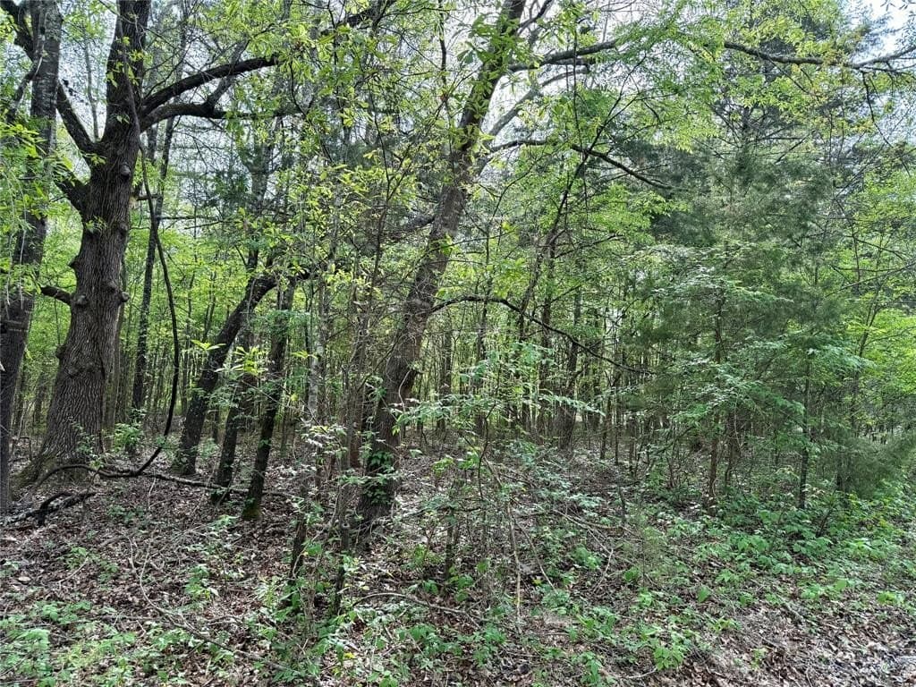 6.7 acres in Franklin (TX) County featured view