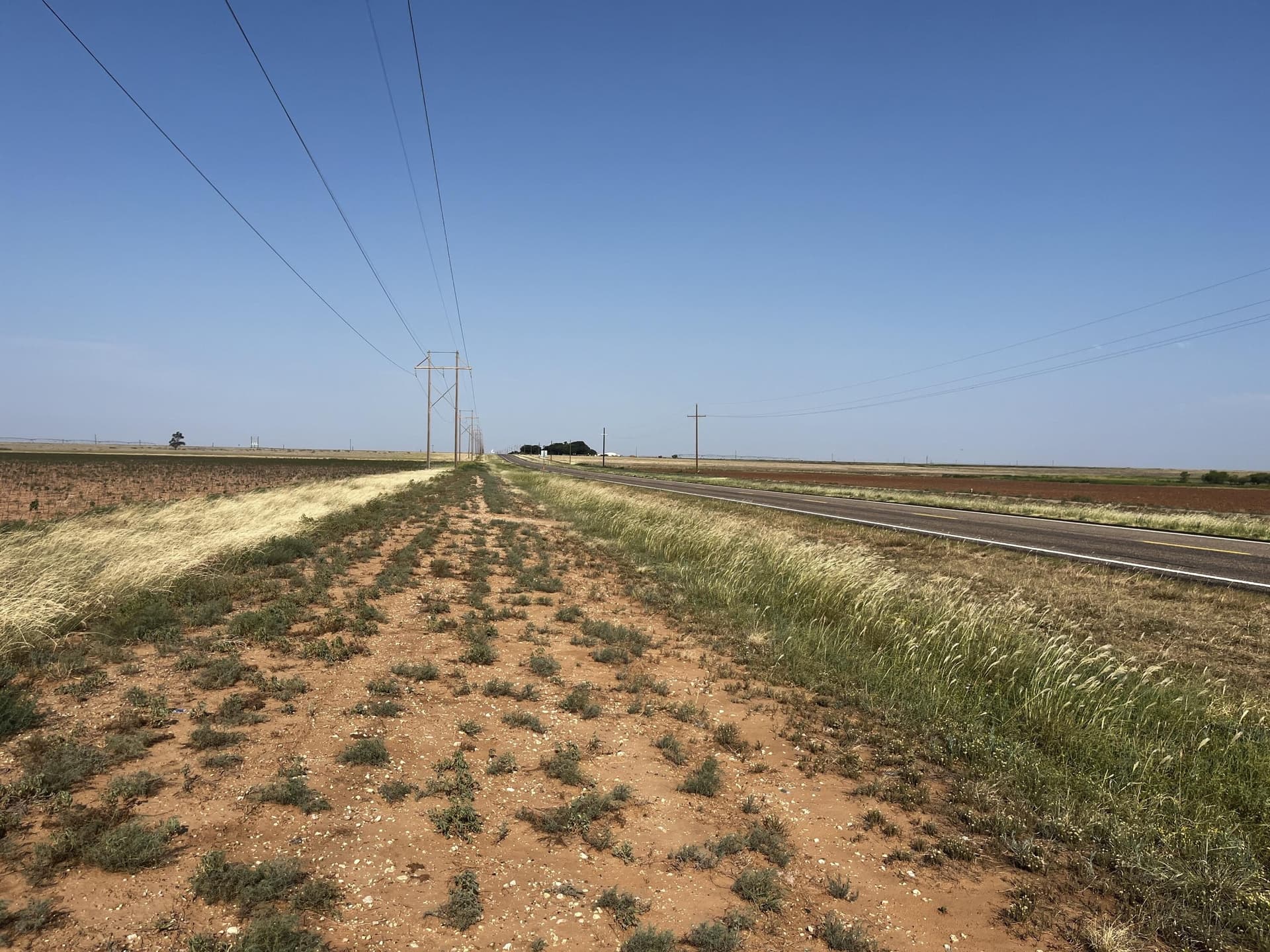 50 acres in Hale County