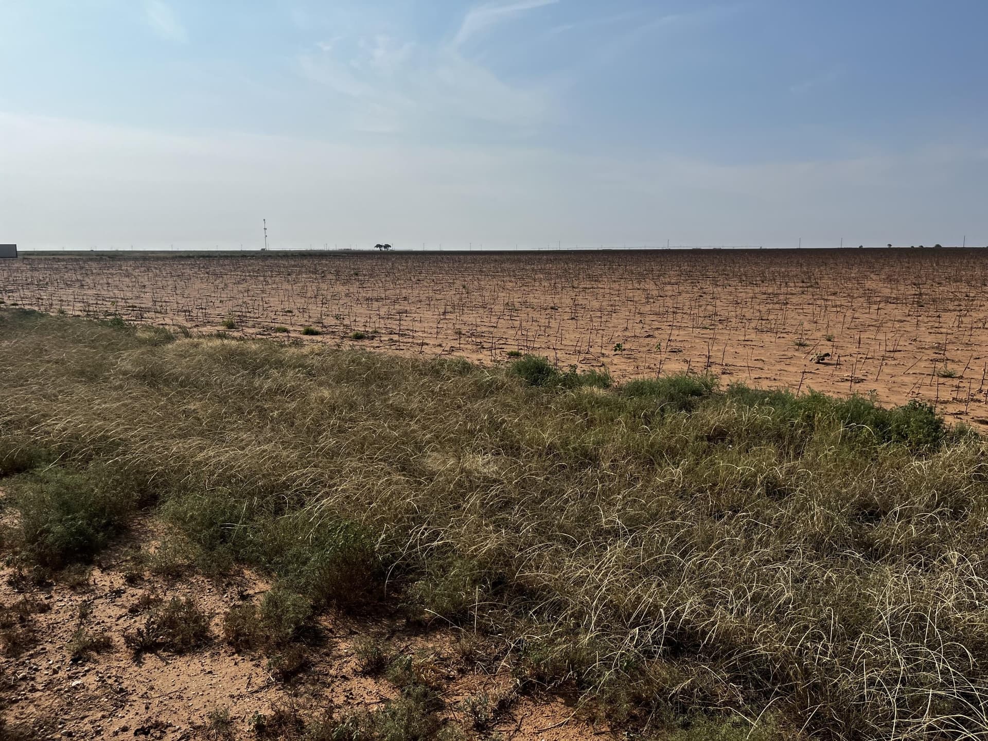 50 acres in Hale County - photo 10