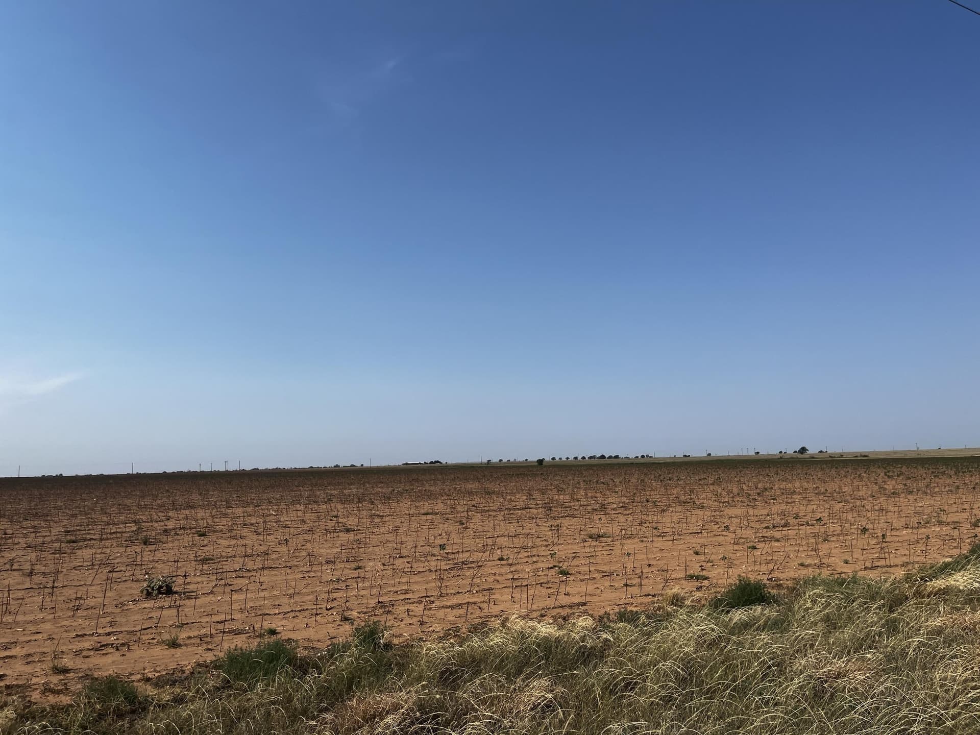50 acres in Hale County - photo 11