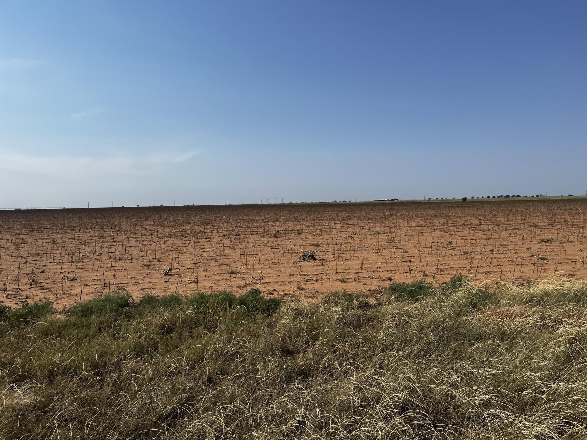 50 acres in Hale County - photo 4