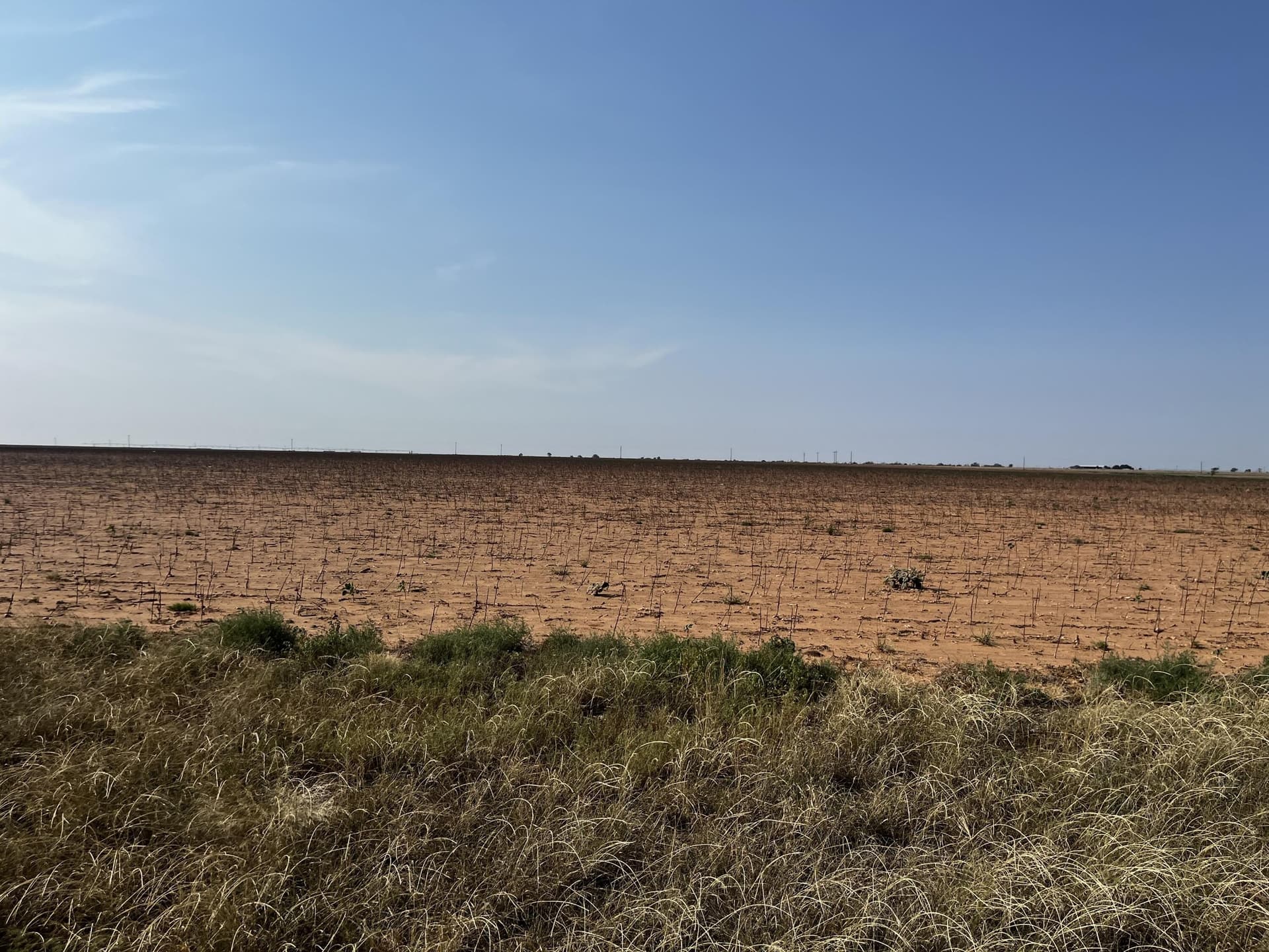 50 acres in Hale County - photo 2