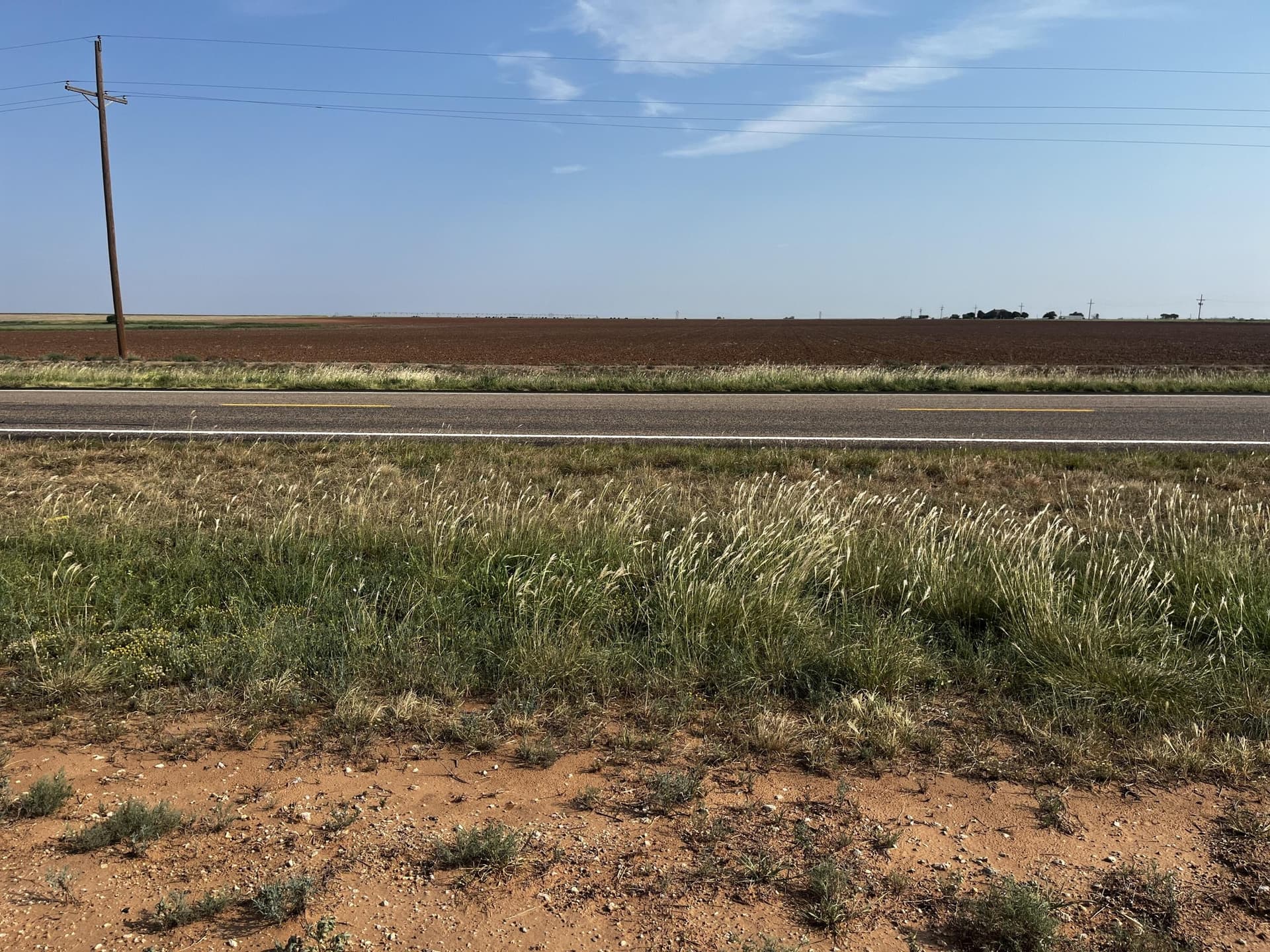 50 acres in Hale County - photo 6