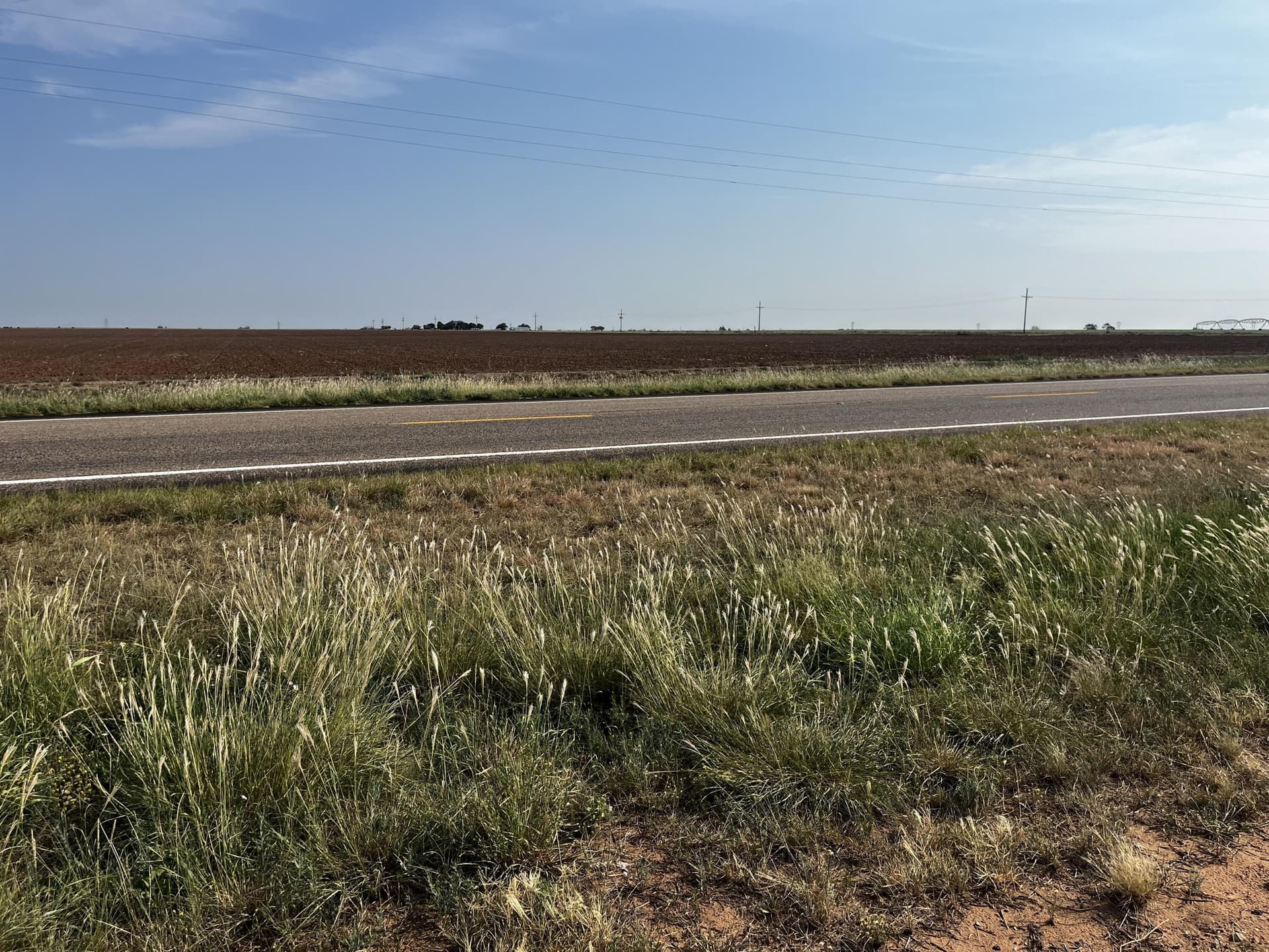 50 acres in Hale County - photo 5