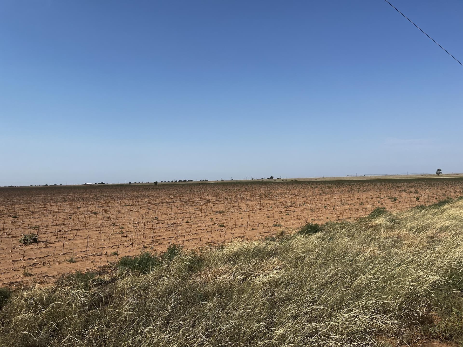 50 acres in Hale County - photo 9