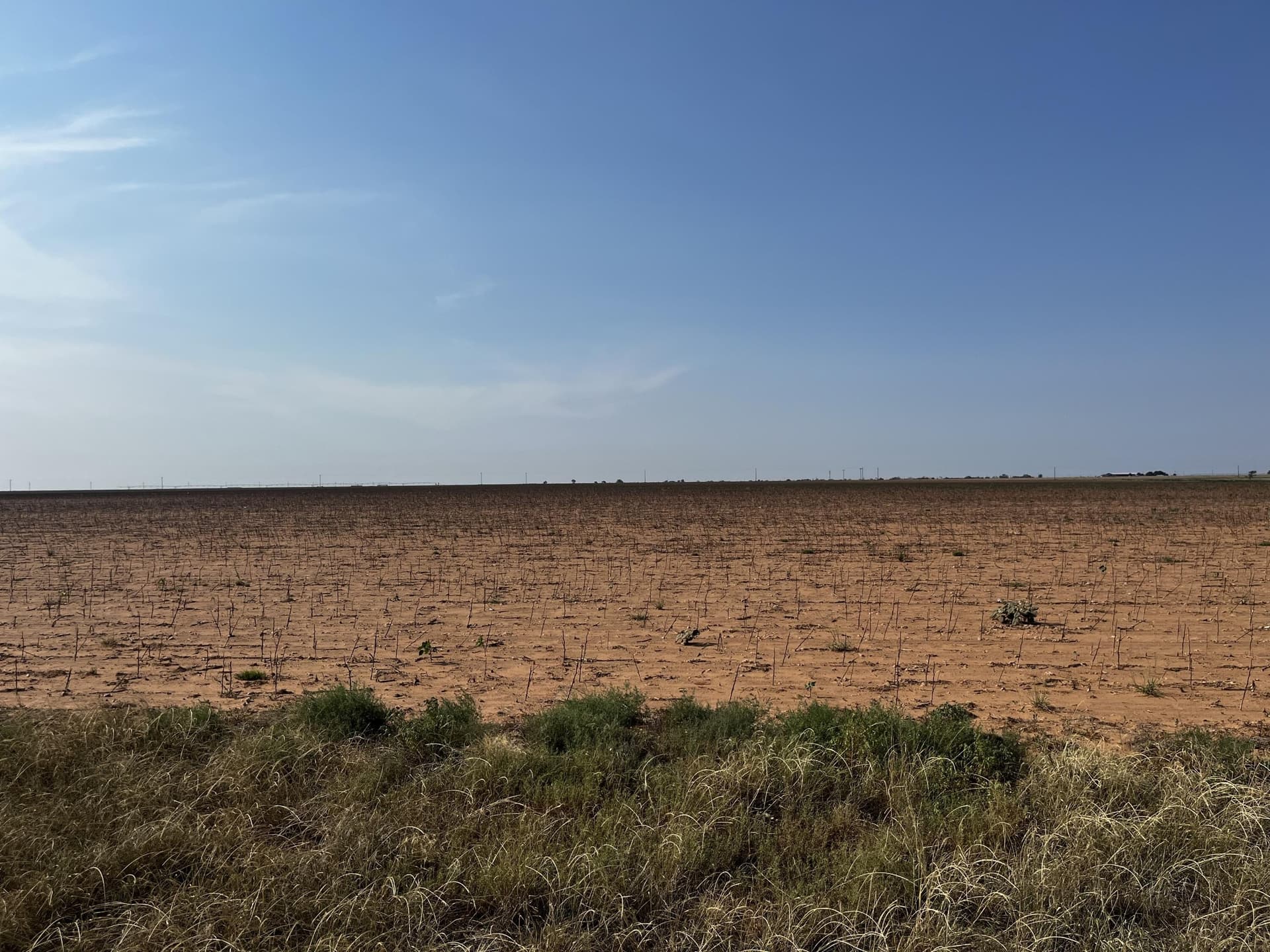 50 acres in Hale County - photo 8