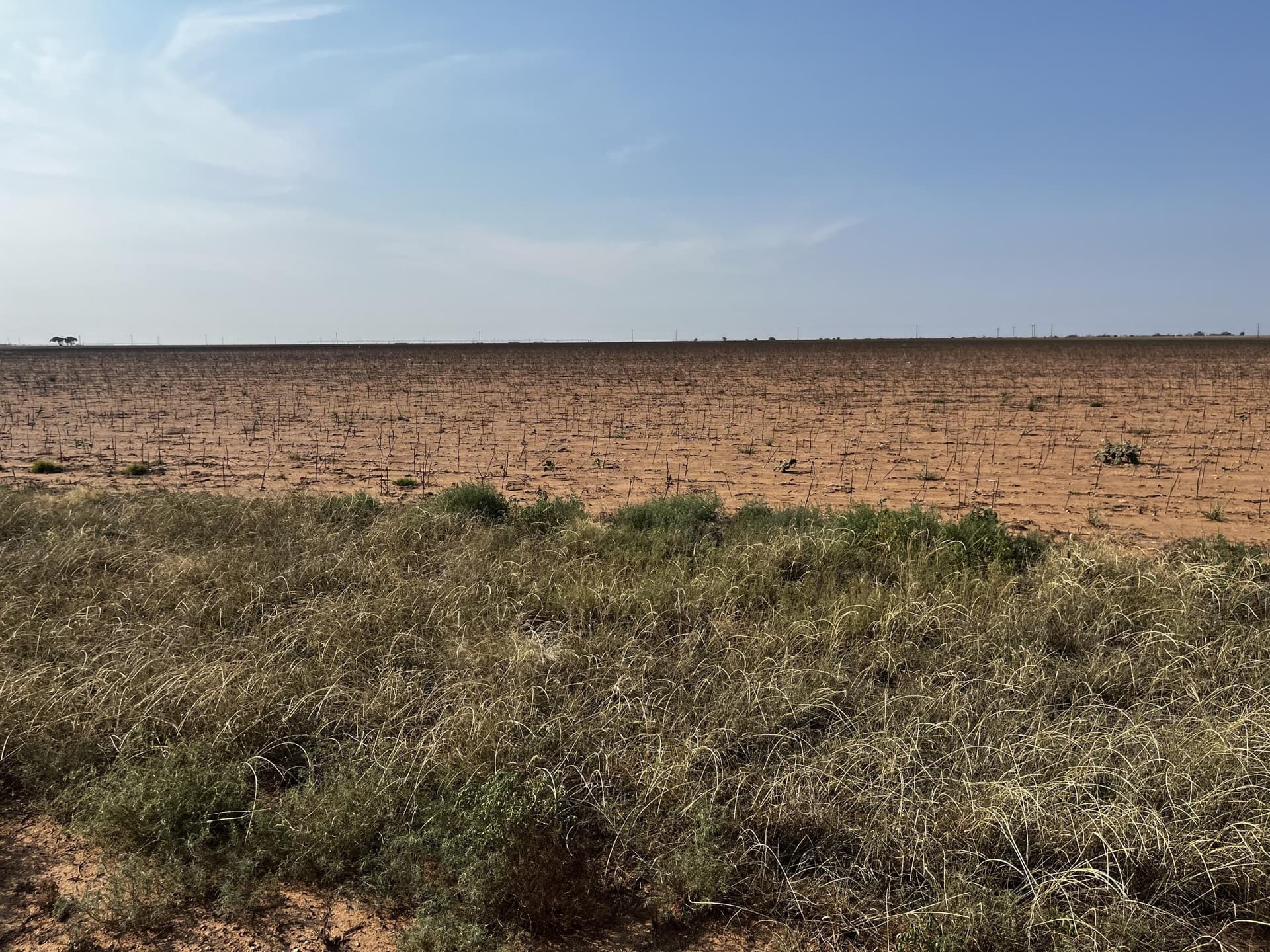 50 acres in Hale County - photo 3