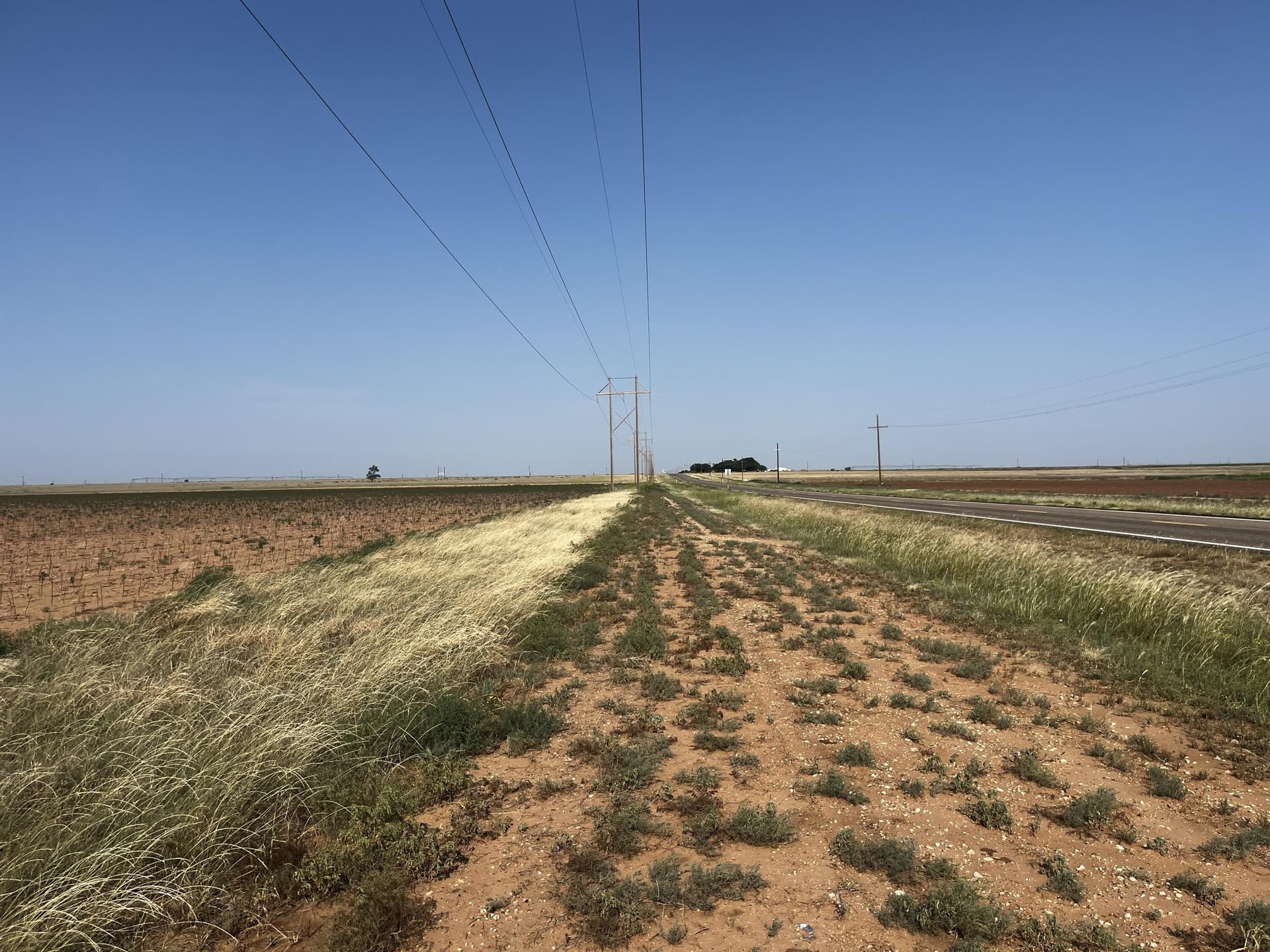 50 acres in Hale County - photo 7