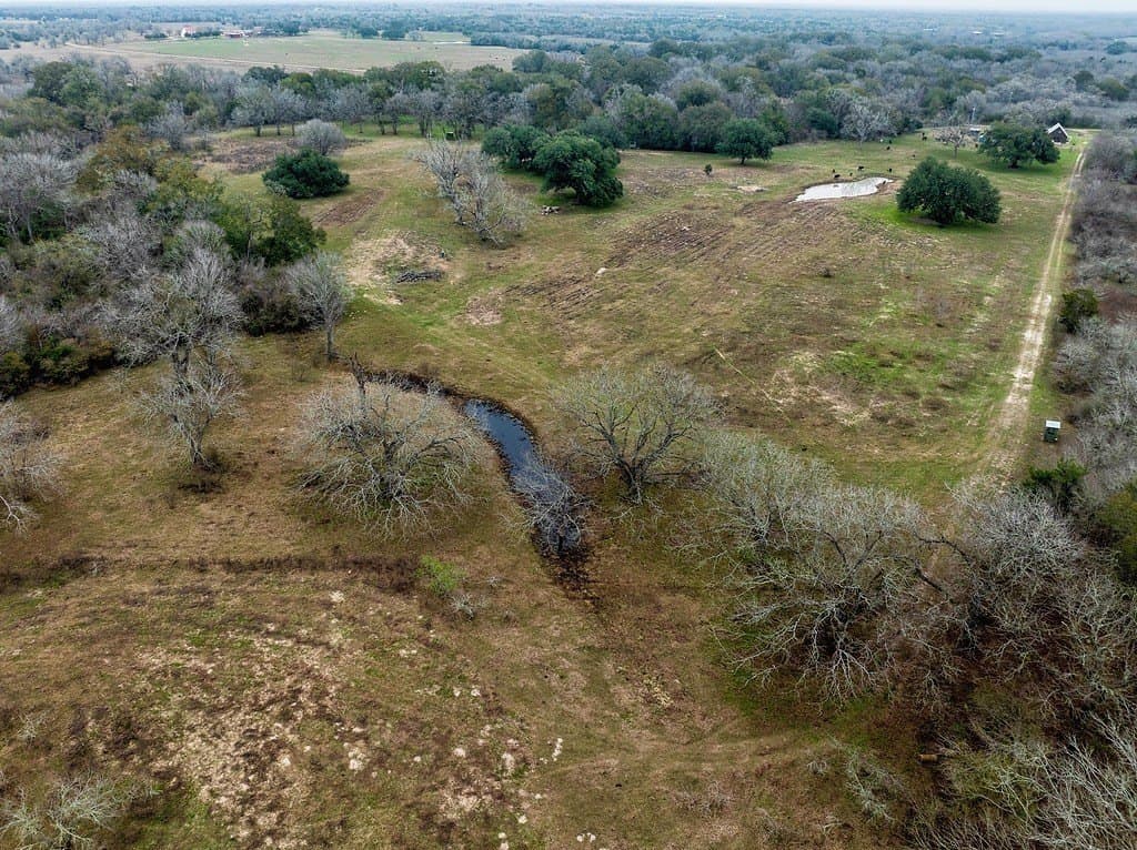 21.24 acres in Fayette County gallery image 3