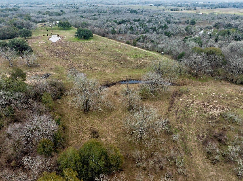 21.24 acres in Fayette County gallery image 4