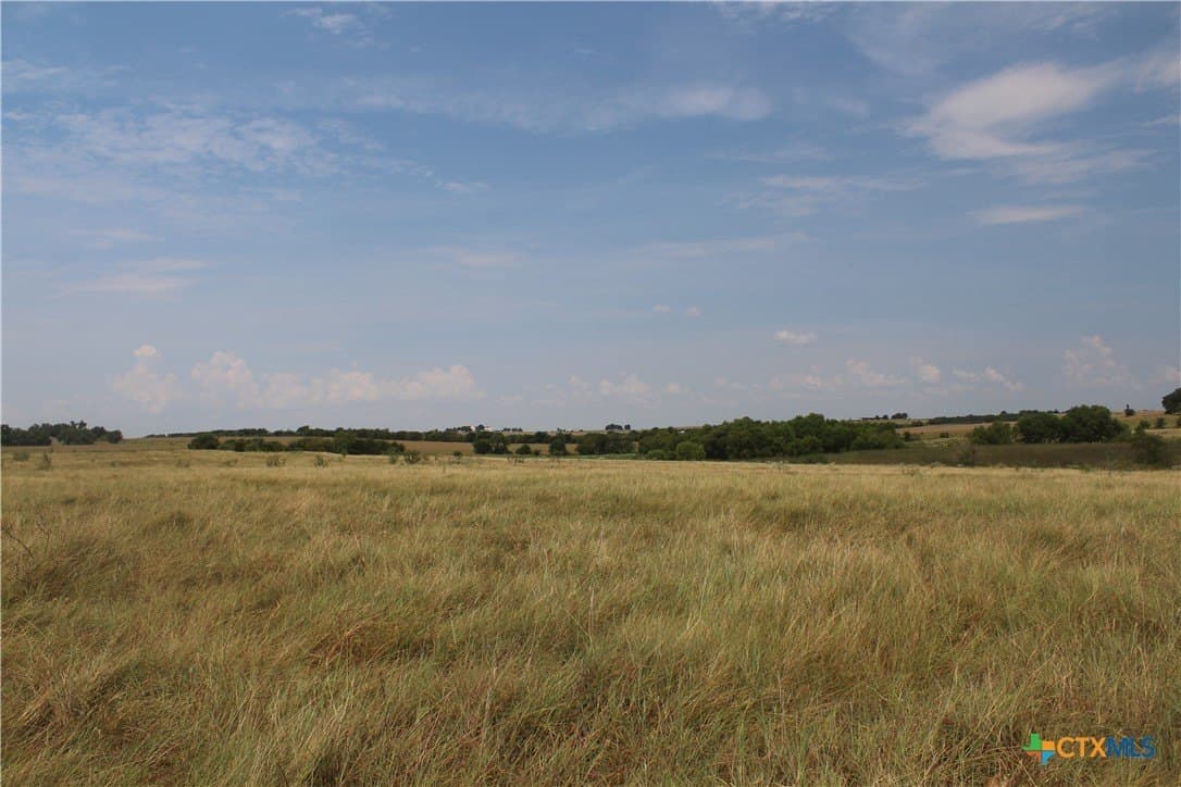 220 acres in Williamson County - photo 5