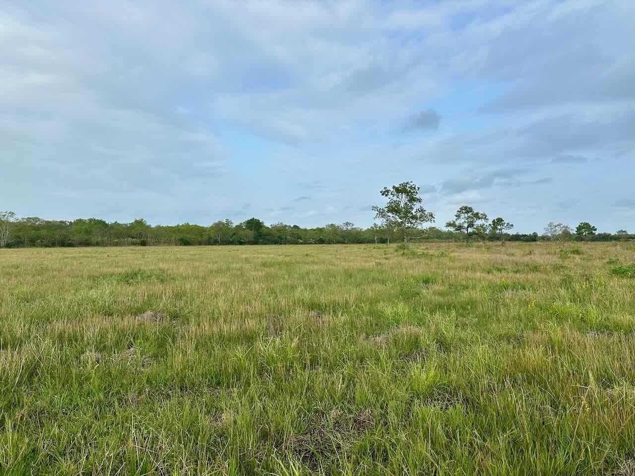 15 acres in Texas County gallery image 4