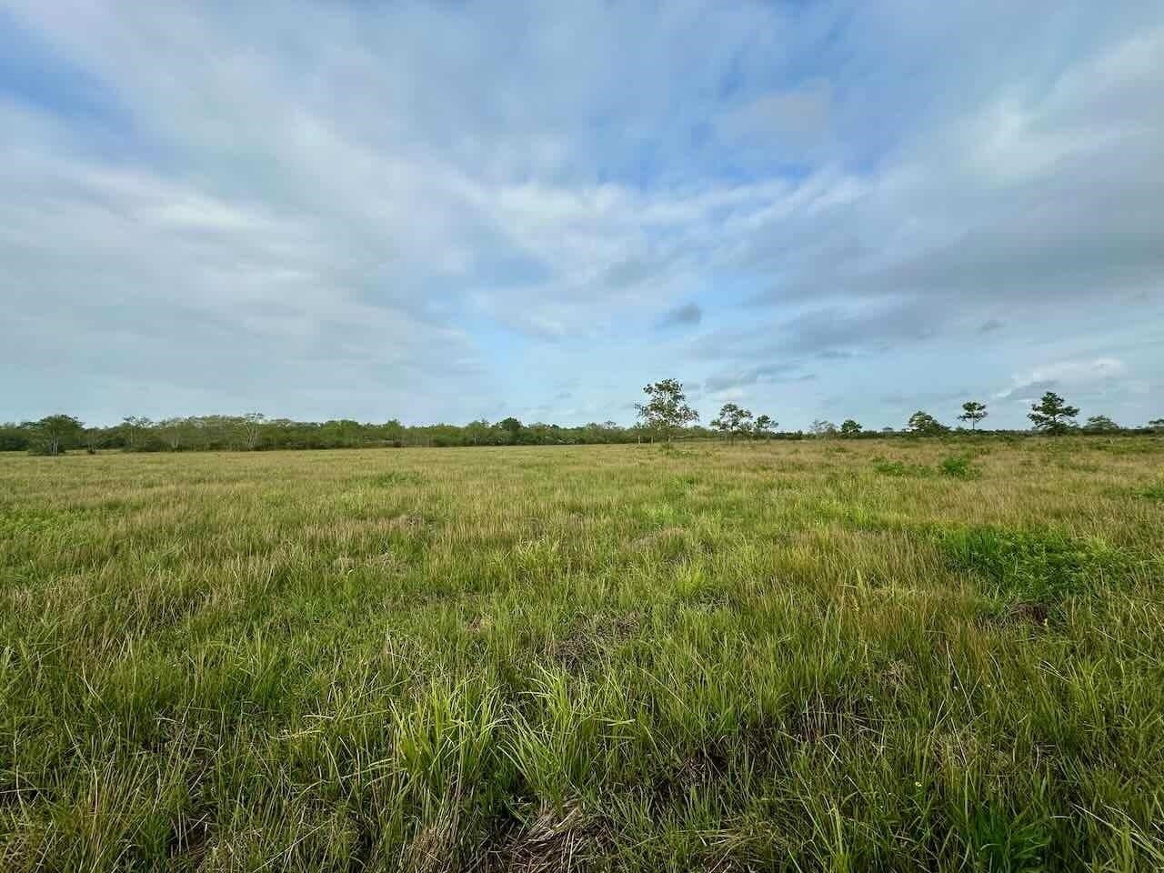 15 acres in Texas County gallery image 3