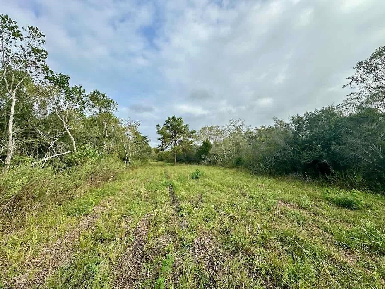 15 acres in Texas County - photo 6