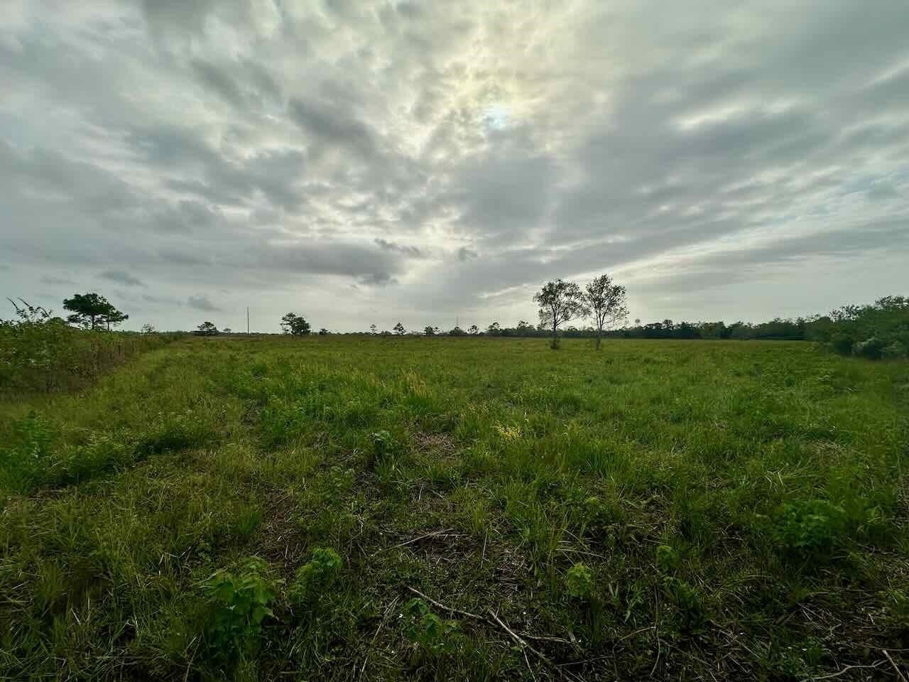 15 acres in Texas County - photo 8