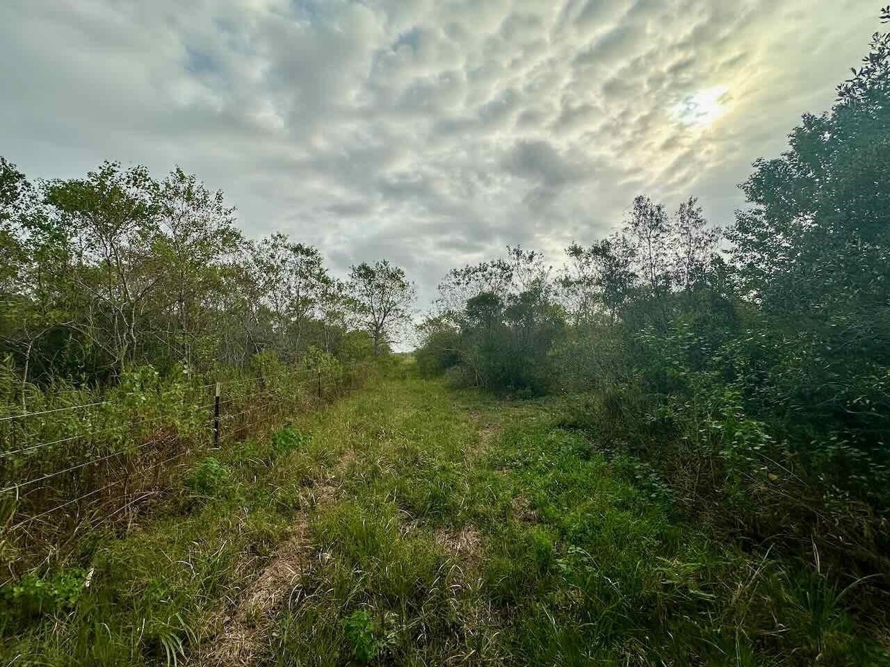 15 acres in Texas County - photo 7