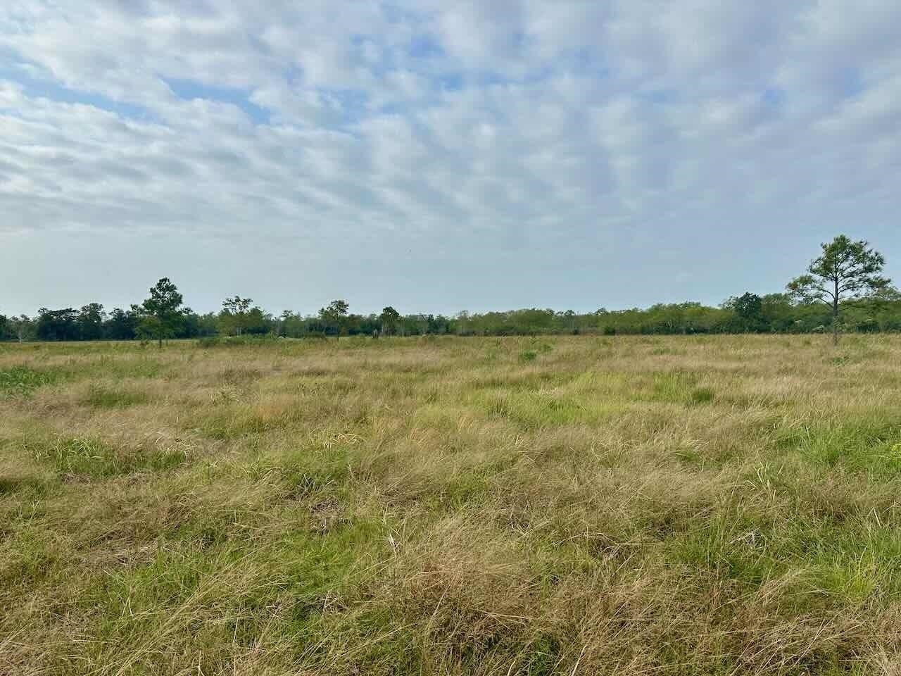 15 acres in Texas County - photo 9