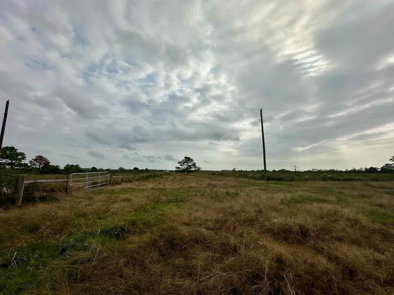 15 acres in Texas County - photo 11