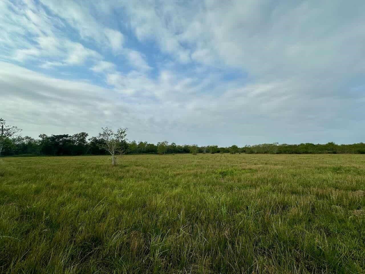 15 acres in Texas County featured view