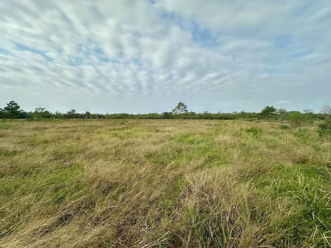 15 acres in Texas County - photo 10