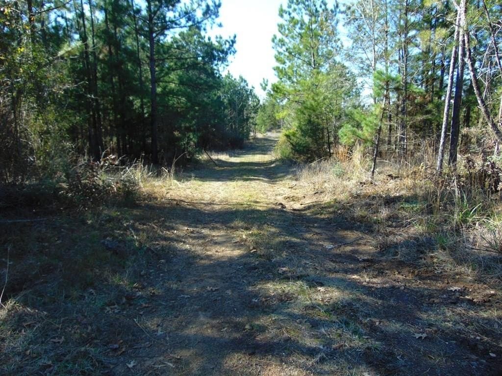 20 acres in Texas County gallery image 2