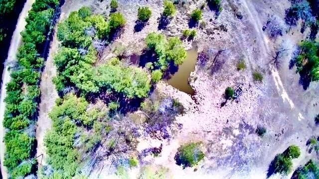 20 acres in Texas County gallery image 4