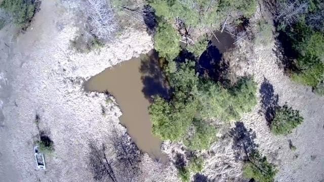 20 acres in Texas County featured view