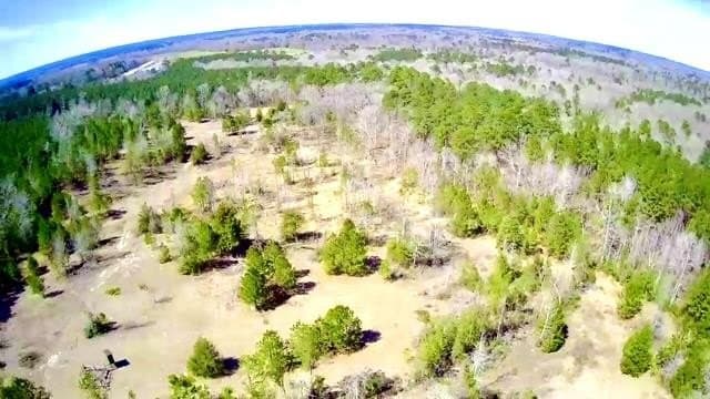 20 acres in Texas County gallery image 3