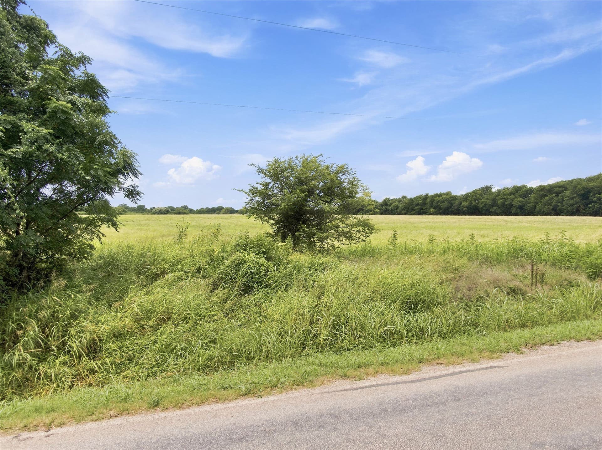 40.38 acres in Dallas County - photo 5