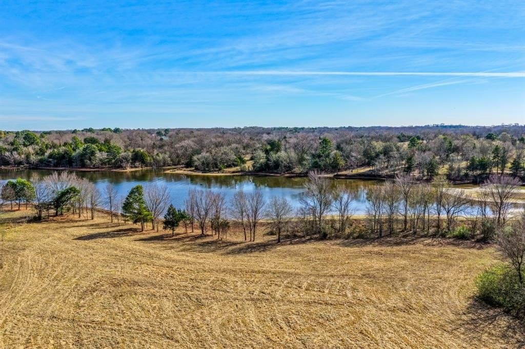 33 acres in Wood County gallery image 3