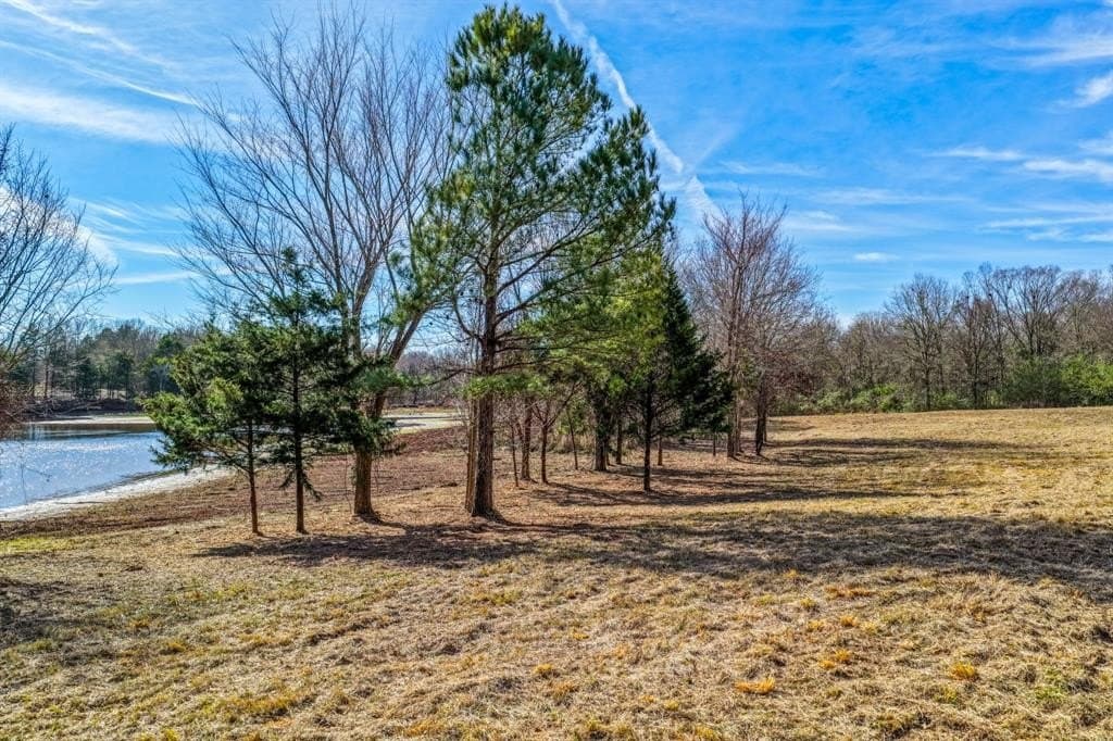 33 acres in Wood County gallery image 2