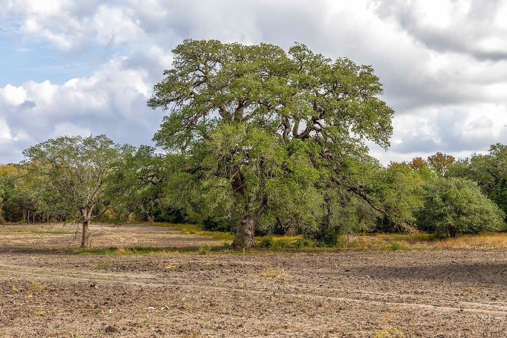 38.69 acres in Fayette County - photo 14
