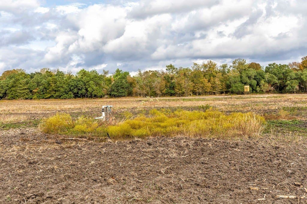 38.69 acres in Fayette County - photo 9