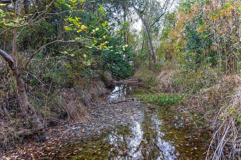 38.69 acres in Fayette County - photo 21